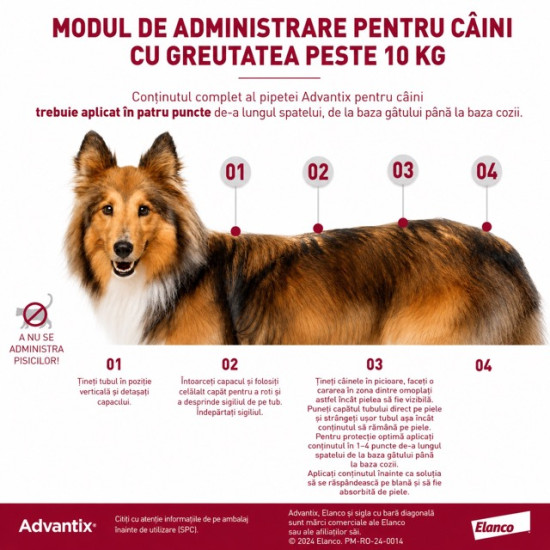 Advantix – Pipetă Repelentă pentru Câini 10–25 kg (Deparazitare Externă, Elanco)